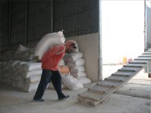 Worker at a cooperative mill in Tirbespiye